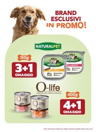 Volantino Joe Zampetti Pagina 5