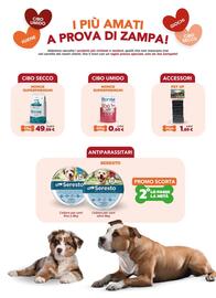 Volantino Joe Zampetti Pagina 6