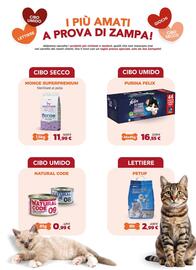 Volantino Joe Zampetti Pagina 7