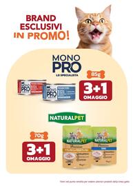 Volantino Joe Zampetti Pagina 8