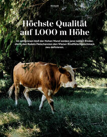 Radatz Flugblatt Seite 13