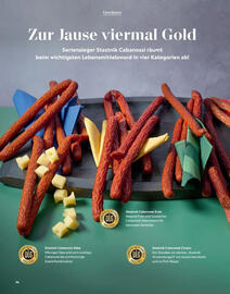 Radatz Flugblatt Seite 36