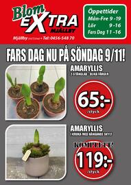 Extra Mjällby Stormarknad reklamblad vecka 45 Sida 15
