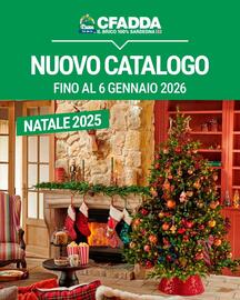 Volantino Cfadda Pagina 1