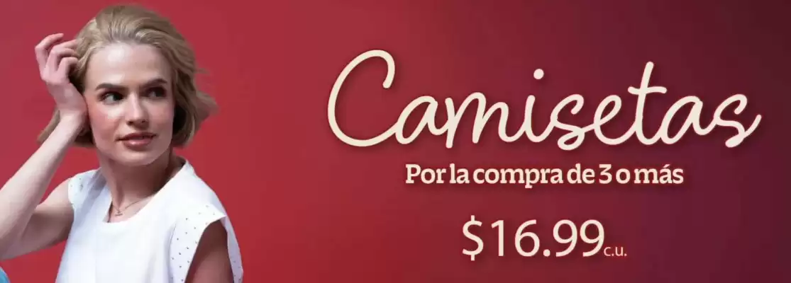 Catálogo Pinto (válido hasta 16-11)