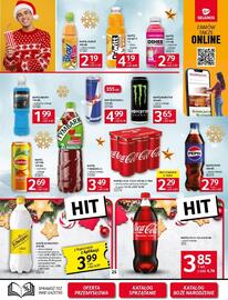 Selgros gazetka Strona 25