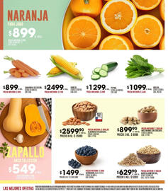 Catálogo Coto semana 45 Página 2