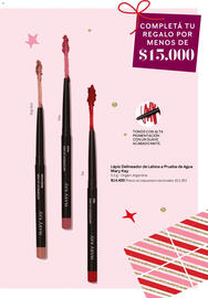 Catálogo Mary Kay Página 19