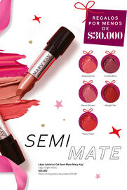 Catálogo Mary Kay Página 21