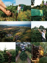 Spinneys catalogue Page 30