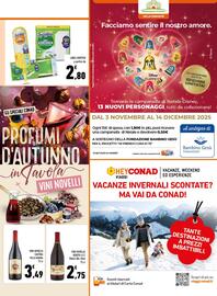 Volantino Conad City Pagina 13