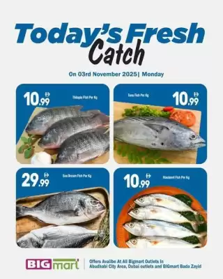 Bigmart leaflet (valid until 3-11)