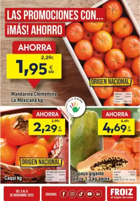 Folleto FROIZ (válido hasta el 9-11)