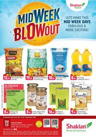 Shaklan leaflet Page 1