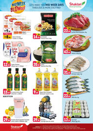 Shaklan leaflet Page 2