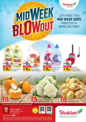 Shaklan leaflet (valid until 6-11)