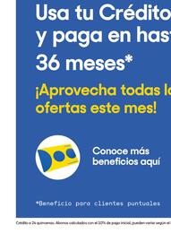 Catálogo Coppel Página 33