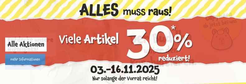 TEDi Prospekt Seite 1