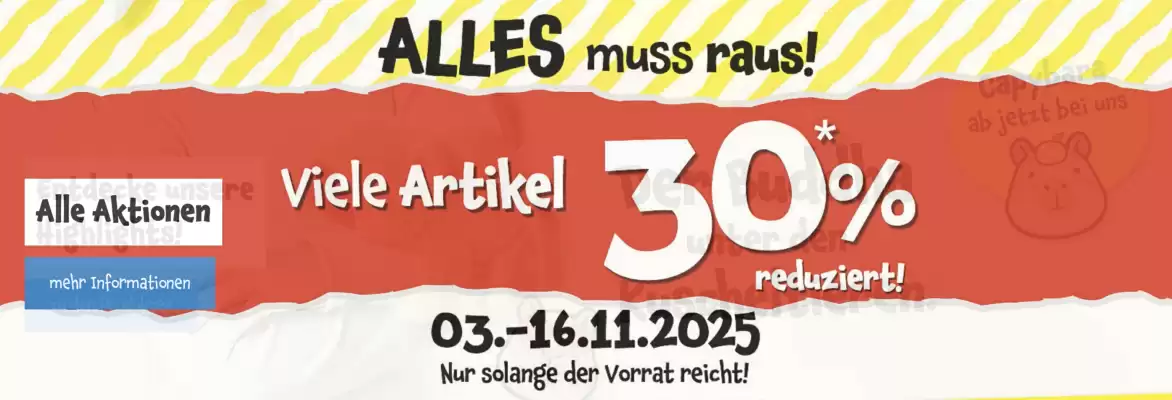 TEDi Prospekt (gültig bis 16-11)