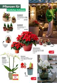 BayWa Prospekt Seite 10