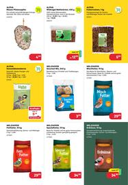 BayWa Prospekt Seite 15