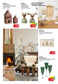 BayWa Prospekt Seite 3