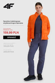 4F gazetka tydzień 45 Strona 3