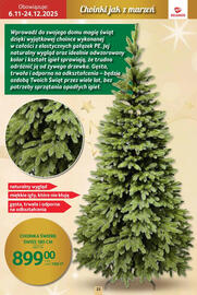 Selgros gazetka Strona 22