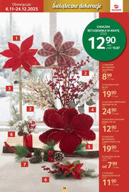 Selgros gazetka Strona 24