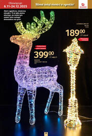 Selgros gazetka Strona 29