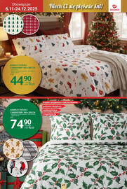 Selgros gazetka Strona 47