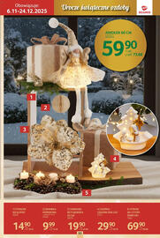 Selgros gazetka Strona 53