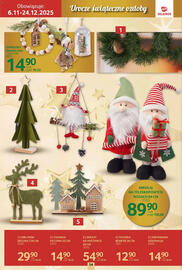 Selgros gazetka Strona 54