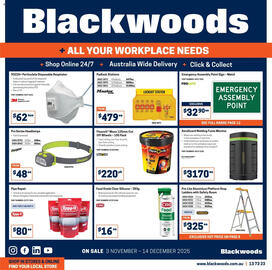 Blackwoods catalogue Page 20