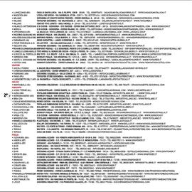 Volantino Giocheria Pagina 296