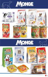 Volantino Marketpiù Pagina 19