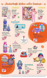 Rossmann DE folder Pagina 13