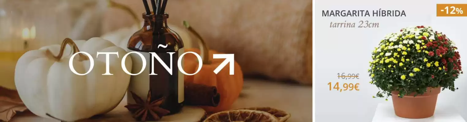 Catálogo Verdecora (válido hasta el 13-11)