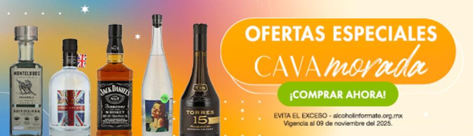 Folleto Bodegas Alianza Página 2