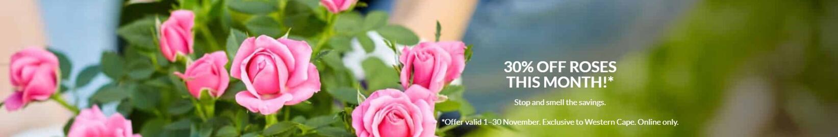 Stodels catalogue Page 2