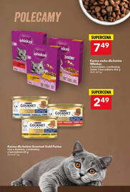 Lewiatan gazetka tydzień 45 Strona 13