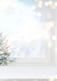 Catalog Selgros Pagină 2