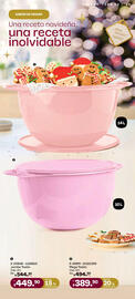 Catálogo Tupperware Página 25