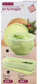 Catálogo Tupperware Página 33