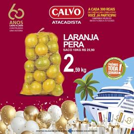 Folheto Calvo Atacadista Página 6