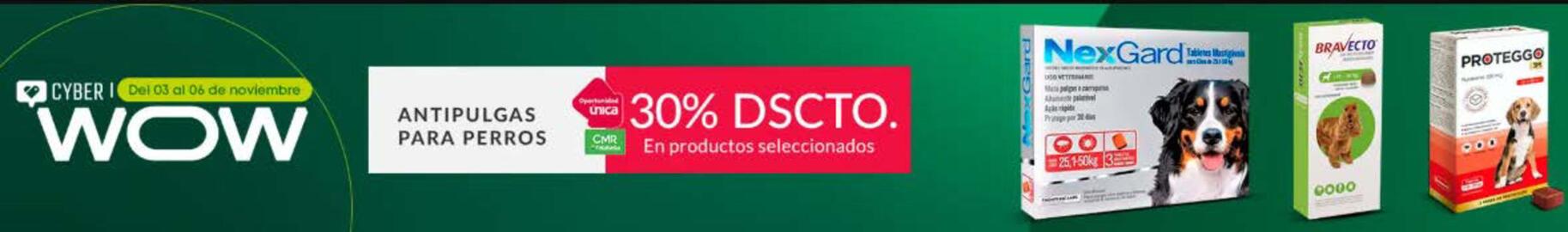 Catálogo Falabella Página 19