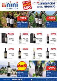 Catálogo Nini Mayorista semana 45 Página 17