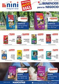 Catálogo Nini Mayorista semana 45 Página 42
