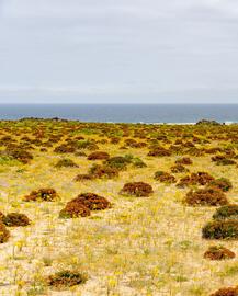 Catálogo Haka Honu Página 3