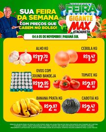 Encarte Max Atacadista Página 3